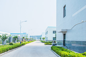 自公司成立以來，以振興和發(fā)展我國貴金屬催化劑和催化工藝為己任，已研究、開發(fā)出了活性炭負載，氧化物負載，有機物負載貴金屬催化劑，均相催化劑，手性催化劑，專用催化劑等上百種催化劑，以及一百多種催化合成/反應工藝技術。